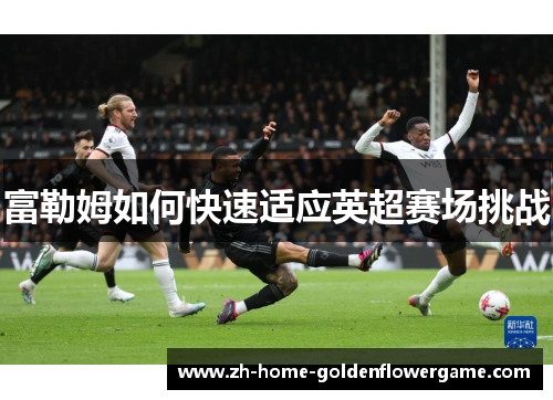 富勒姆如何快速适应英超赛场挑战